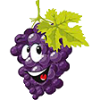 :grapes: Slack emoji