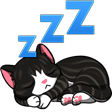 :zzz_cat: Slack emoji