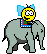 :elephant_ride: Slack emoji
