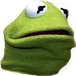 :kermit_wut: Slack emoji