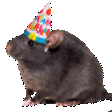 :birthday_rat_flip: Slack emoji