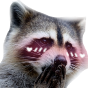 :blushingraccoon: Slack emoji