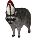 :holyraccoon: Slack emoji