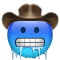 :cold-face-cowboy: Slack emoji