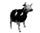 :dancing_cow_animated: Slack emoji