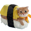 :sushicatq: Slack emoji