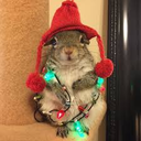 :christmassquirrelq: Slack emoji