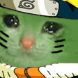 :naruto_catq: Slack emoji