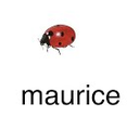 :maurice_ladybug: Slack emoji