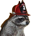 :fireraccoonq: Slack emoji