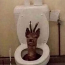 :reindeertoiletq: Slack emoji