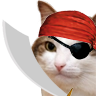 :kiisu-pirateq: Slack emoji
