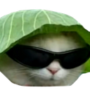 :cabbagecatq: Slack emoji