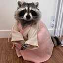 :kimonoraccoonq: Slack emoji