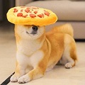 :pupperoni_pizza: Slack emoji
