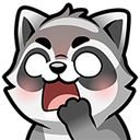 :raccoon28-0: Slack emoji