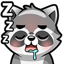 :raccoon35-0: Slack emoji