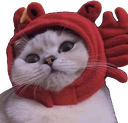 :catlobsterh: Slack emoji