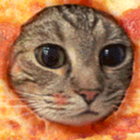 :catpizza-e: Slack emoji