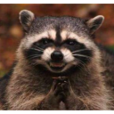 :evil-raccoon: Slack emoji