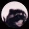 :pedro-pedro-raccoon: Slack emoji
