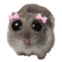 :please-hamster: Slack emoji