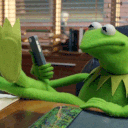:kermit-smh: Slack emoji