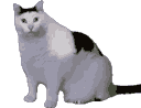 :huh_cat: Slack emoji