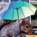 :umbrellasquirrel: Slack emoji