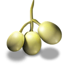 :grapes: Slack emoji