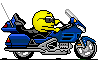 :motorcycle: Slack emoji