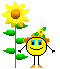 :sunflower: Slack emoji
