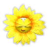 :sunflower: Slack emoji