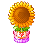 :sunflower: Slack emoji