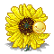 :sunflower: Slack emoji