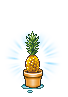 :pineapple: Slack emoji