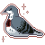 :pigeon: Slack emoji