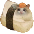 :sushi_cat: Slack emoji